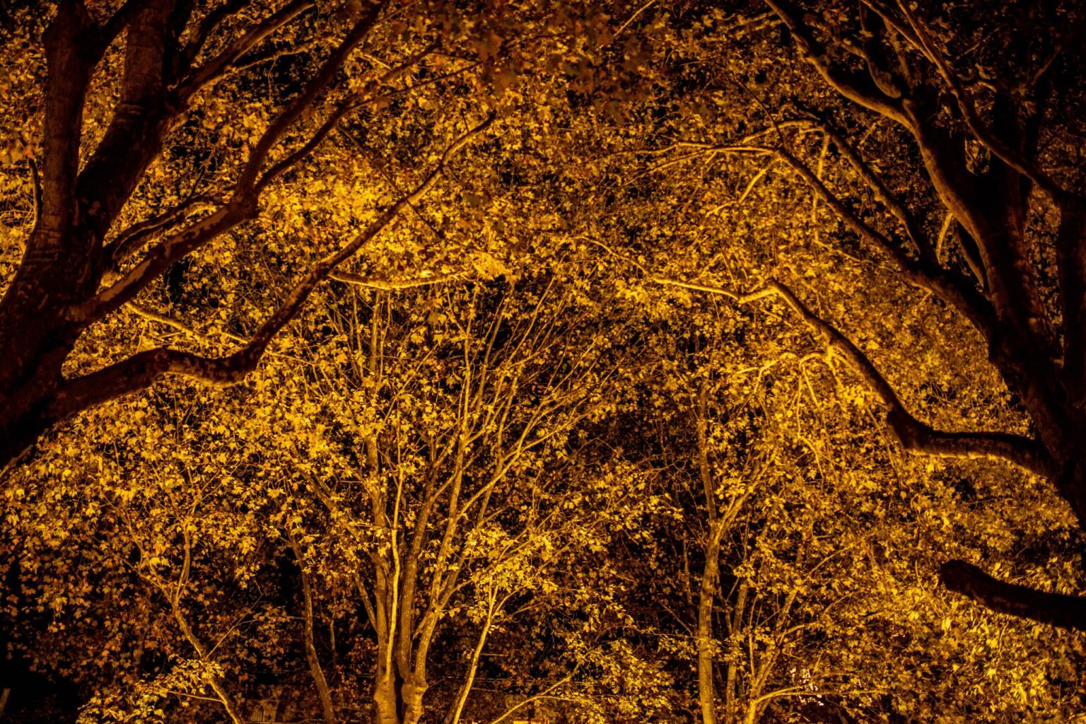 Paris, France, 25 octobre 2021. Un migrant de nationalite tunisienne observe la tour effel a travers une grille de protection de travaux.Paris, France, October 25, 2021. A migrant of Tunisian nationality observes the Effel Tower through a protective grid.